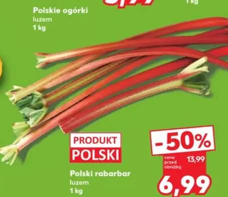 Rabarbar polski