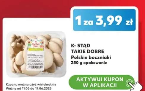 Boczniaki polskie K-Stąd Takie Dobre