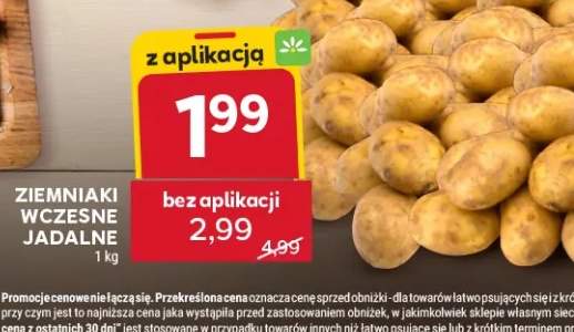 ziemniaki wczesne