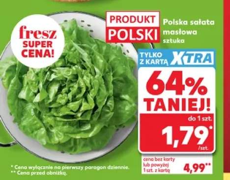 Sałata masłowa polska