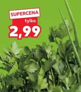 Pietruszka natka polska