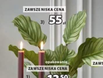 rośliny sztuczne
