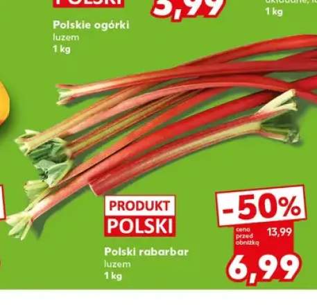 Rabarbar polski