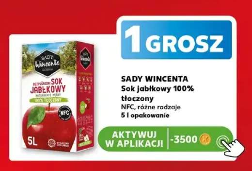 Sok jabłkowy 100% tłoczony NFC Sady Wincenta