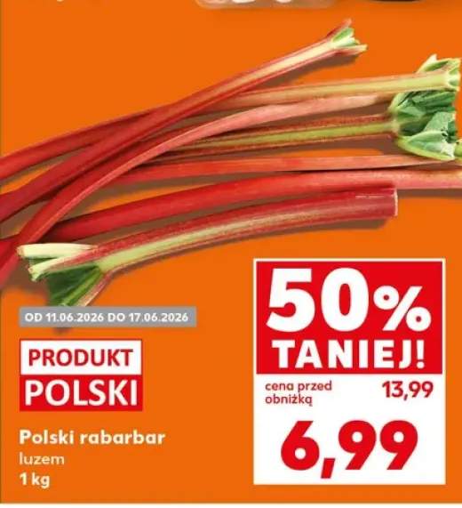 Rabarbar polski