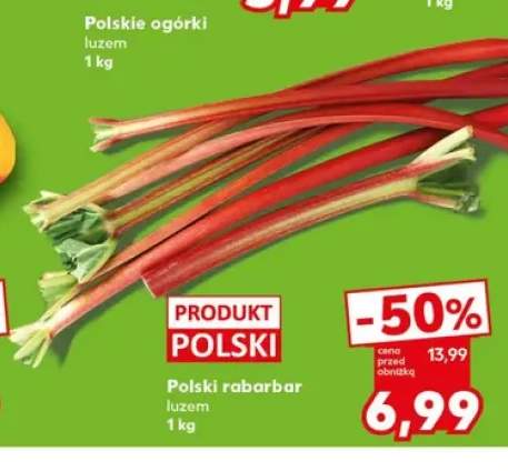 Rabarbar polski