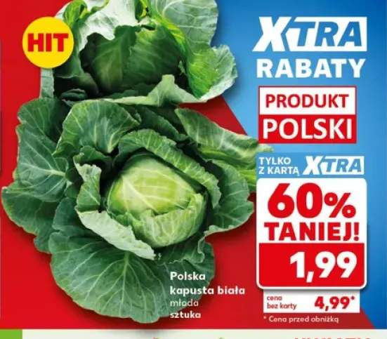 Kapusta biała młoda polska