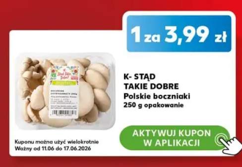 Boczniaki polskie K-Stąd Takie Dobre