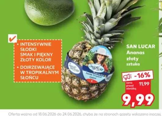 Ananas złoty San Lucar