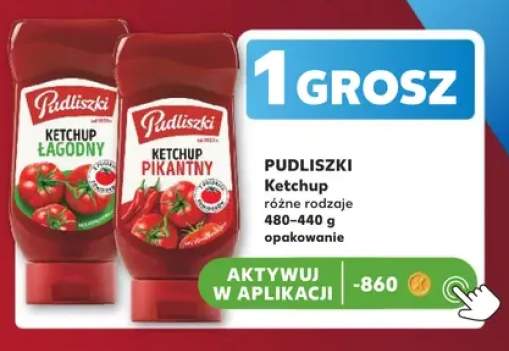 Ketchup łagodny Pudliszki +1 wariant