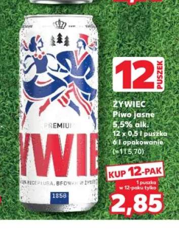 Piwo Żywiec Jasne 12-pak 500 ml