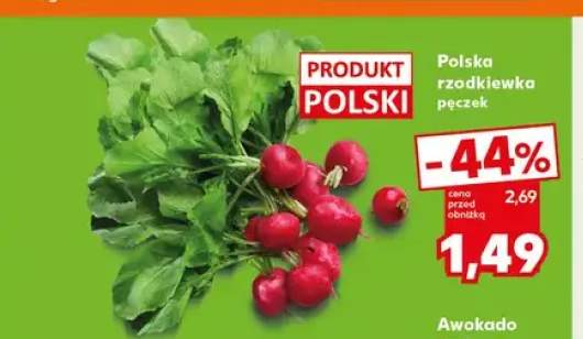 Rzodkiewka polska