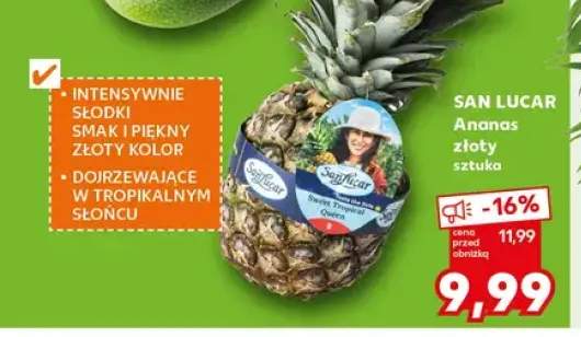 Ananas złoty San Lucar