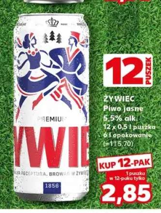 Piwo Żywiec Jasne 12-pak 500 ml