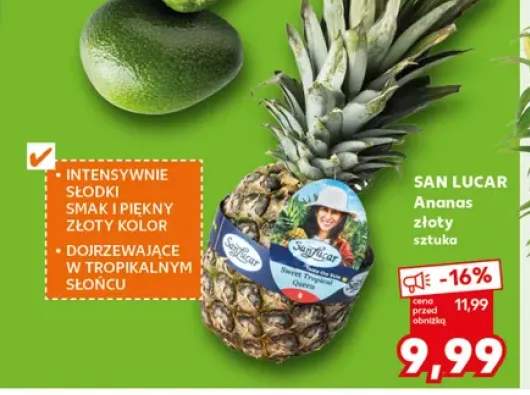 Ananas złoty San Lucar
