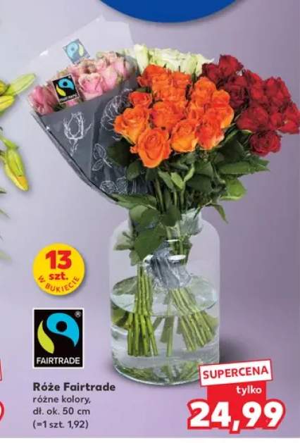 Róże Fairtrade 13-pak