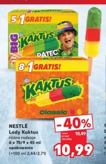 Lody Kaktus Big Datec Nestlé 6-pak 75 ml +1 wariant