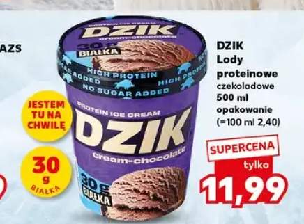 Lody proteinowe czekoladowe Dzik