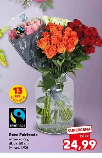 Róże Fairtrade