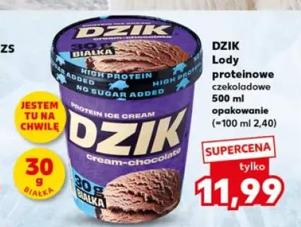 Lody proteinowe czekoladowe Dzik