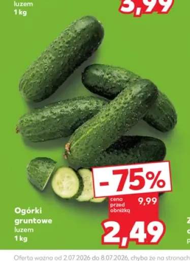 Ogórki gruntowe