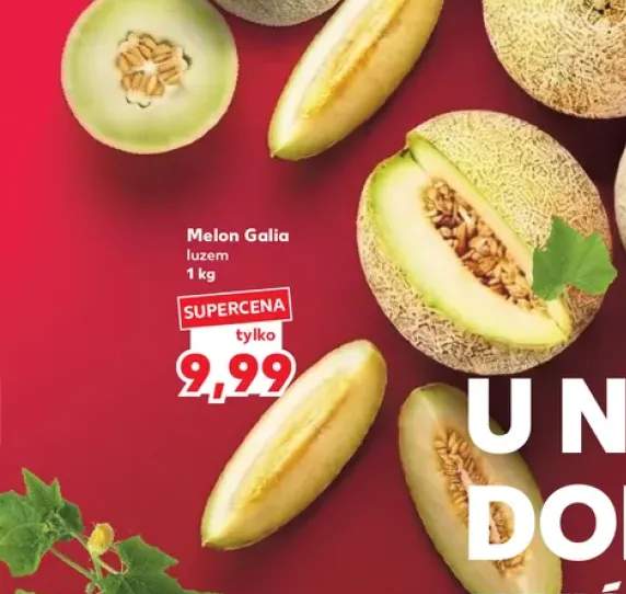 Melon Galia luzem