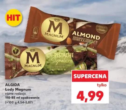 Lody Magnum Algida