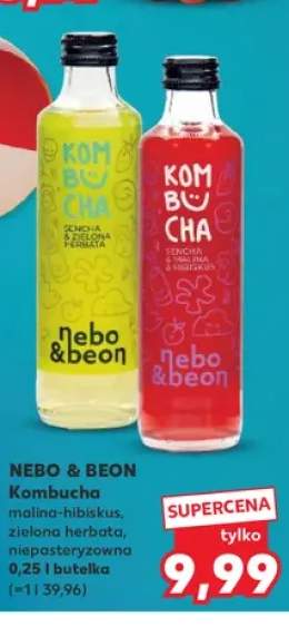 Kombucha Nebo & Beon Sencha Malina Hibiskus +1 wariant
