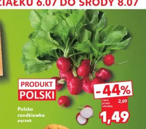 Rzodkiewka polska