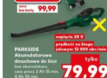 Akumulatorowa dmuchawa do liści Parkside