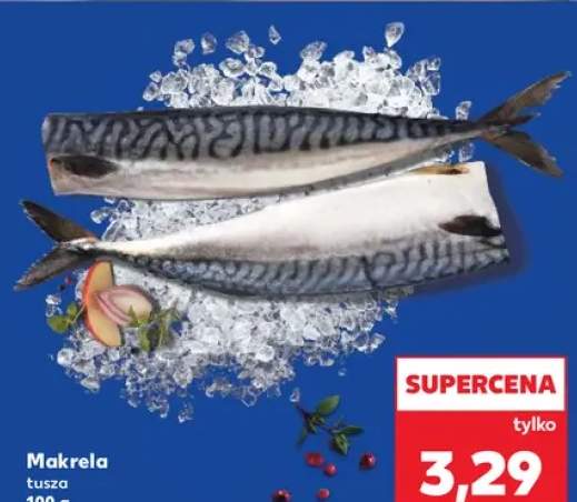 makrela tusza