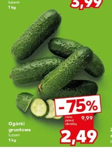 Ogórki gruntowe