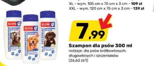 szampon dla psów