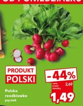 Rzodkiewka polska