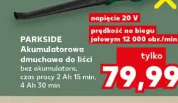 Akumulatorowa dmuchawa do liści Parkside