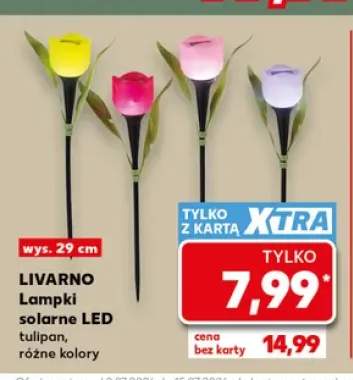 Lampki solarne LED tulipan Livarno