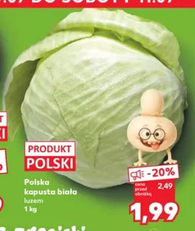 Kapusta biała polska
