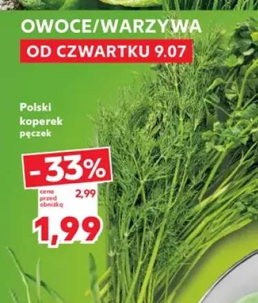 Koperek polski