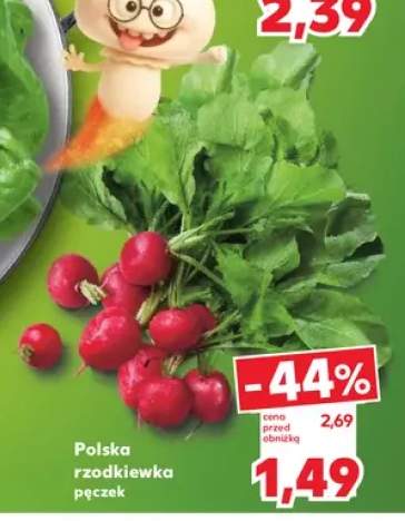 Rzodkiewka polska