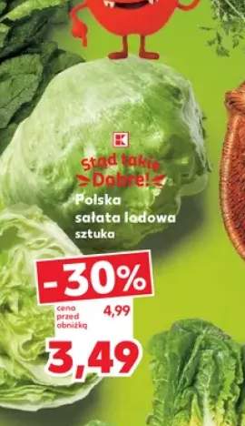 Sałata lodowa polska