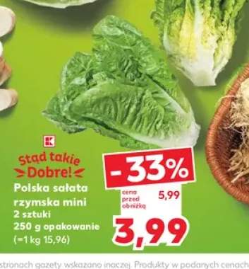 Sałata rzymska mini polska