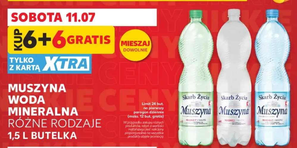 Woda mineralna Skarb Życia Muszyna lekko gazowana +2 warianty