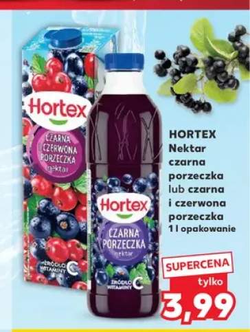 Nektar Hortex czarna porzeczka +1 wariant