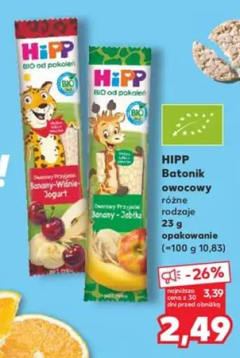Batonik owocowy HiPP BIO Banany Wiśnie Jogurt +1 wariant