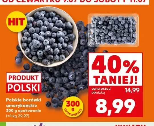 Polskie borówki amerykańskie