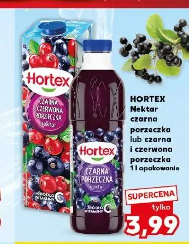 Nektar czarna porzeczka Hortex +1 wariant