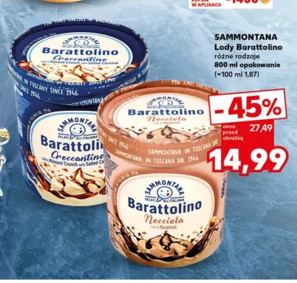 Lody Barattolino Nocciola Sammontana +1 wariant