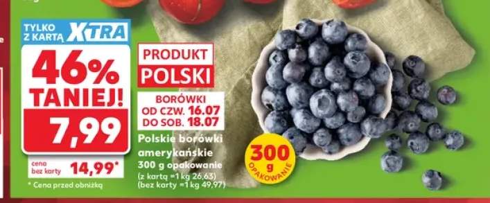 Borówki amerykańskie polskie