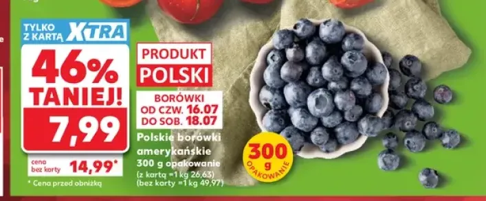 Borówki amerykańskie polskie