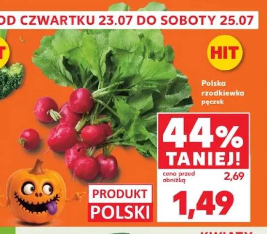 Rzodkiewka Polska